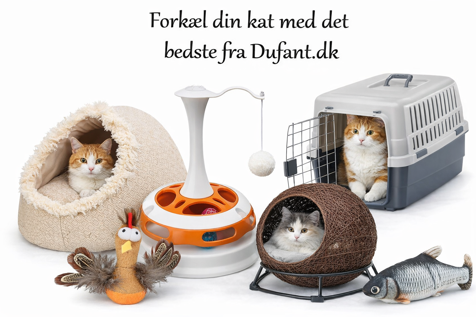 Lækkert udstyr til din Kat